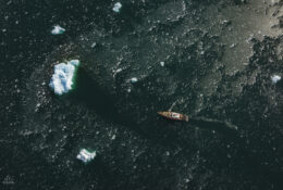 Spitsbergen_2025 (7/78)